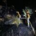 Conato de incendio forestal en Lorca extinguido en la diputación de Fontanares