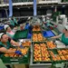 70.000 trabajadores sostienen el motor agroalimentario de Murcia mientras sus convenios siguen bloqueados