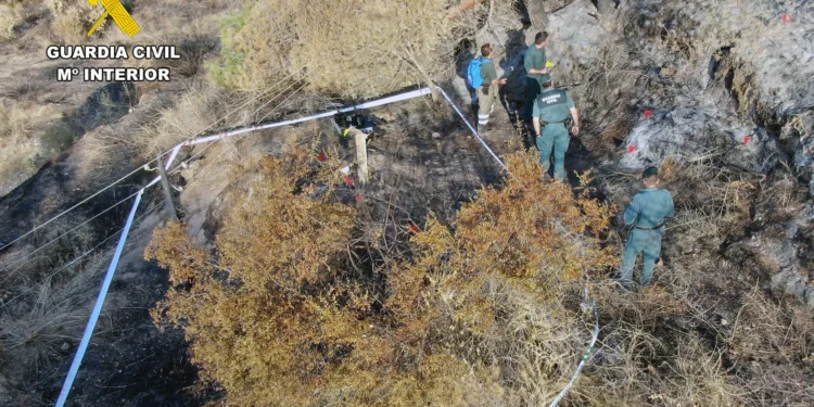 Una línea eléctrica ilegal y sin mantenimiento, detrás del incendio que arrasó 150 hectáreas en Murcia