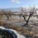 Una intensa granizada golpea el Noroeste y deja daños en cultivos y caminos